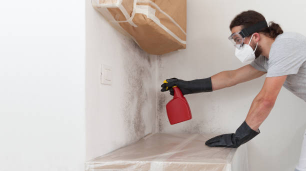 Professional Bathroom Mold Removal technician working in McKinney, TX