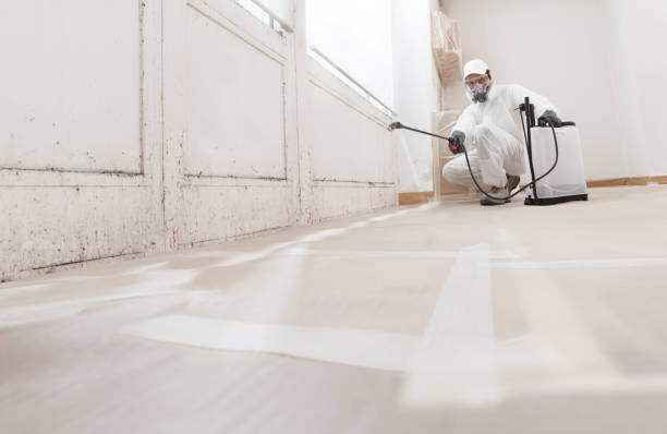 24/7 Emergency Bathroom Mold Removal experts in McKinney, TX